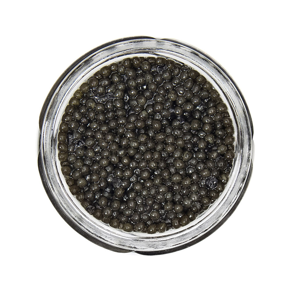 Paddlefish Caviar
